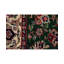 Wool Oriental Area Rug