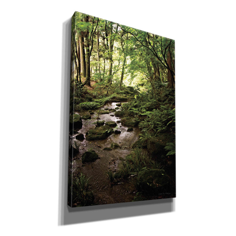 Loon Peak 'Lush Creek In Forest' By Debra Van Swearingen, Canvas Wall Art, 18" H x 12" W x 0.75" D