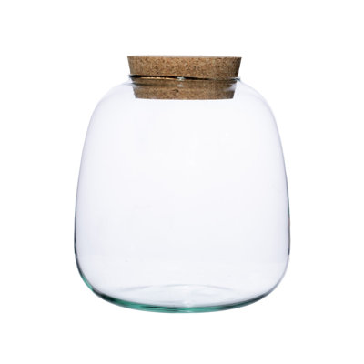 Bowl Shape Medium Terrarium DIY Kit H20cm D19cm