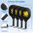 Edge Collections Pickleball