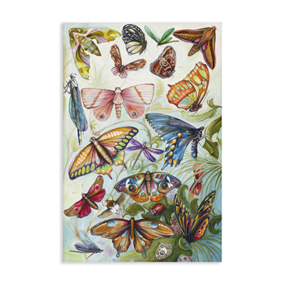 Colorful Butterfly Conservatory Canvas, design by Diannart