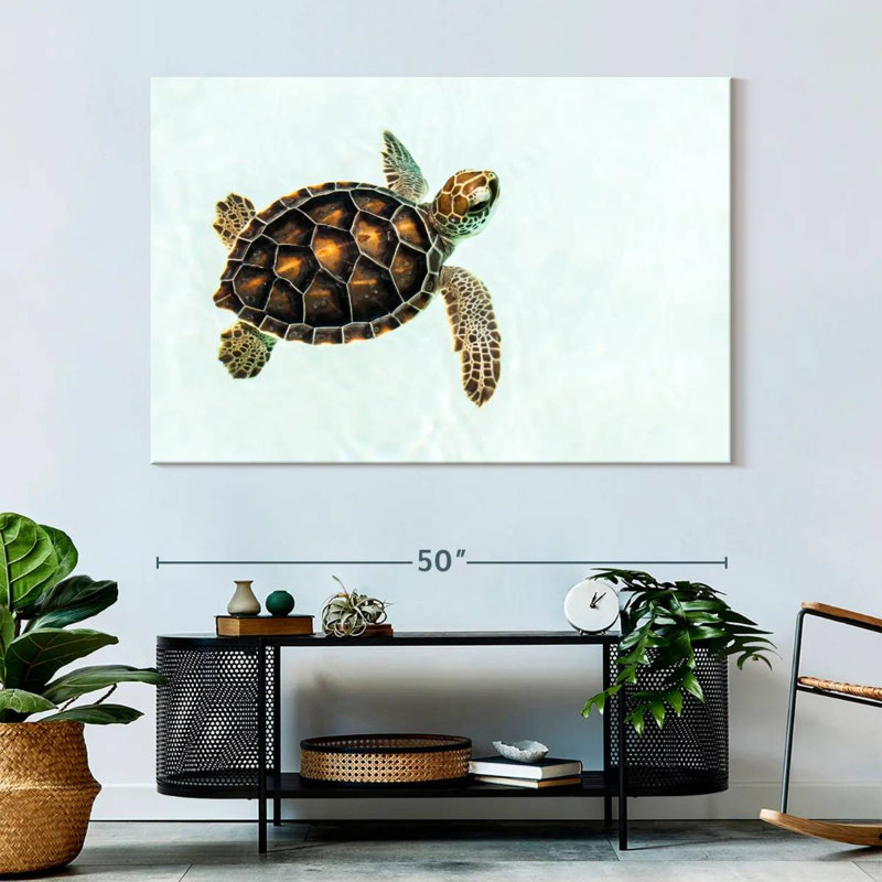 Bébé tortue Brampt, H 34 po x l 51 po