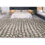 Himalayan Abstract Area Rug in Gray/Ivory