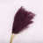 Mauve sélectionné