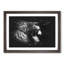 Majestic Lion Illustration - Picture Frame Graphic Art Print-56735436-56735433