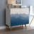 Bostyn Art 2 Door Accent Cabinet-1056982240
