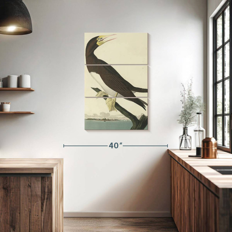 Brampt Booby Gannet, 38" H x 24" W