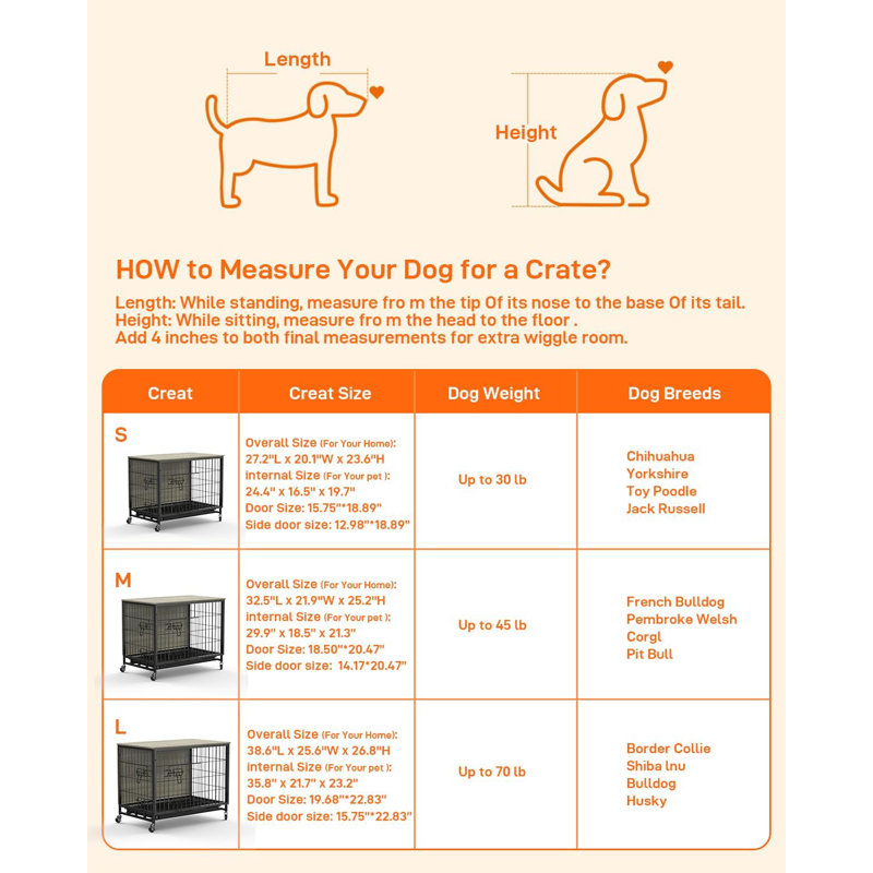 Dog Cage