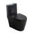 One-Piece Toilet, 1.1/1.60 GPF Water-Efficient Dual-Flush Elongated Comfort Height Floor Mounted, ADA Compliant Toilet with Soft Closing Seat Included-129936877
