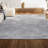 Asal Haze Solid Low-Pile Gray Rug-524148364