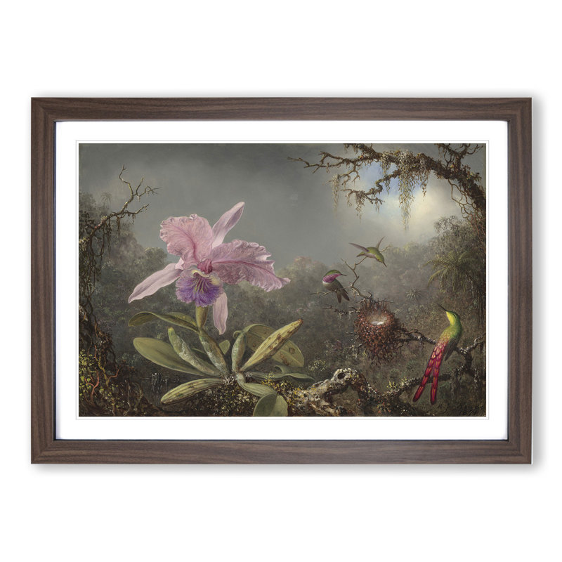 Cattleya Orchid and Hummingbirds by Martin Johnson Heade - Picture Frame Painting, 48cm H x 65cm W x 2cm D, Walnut Framed