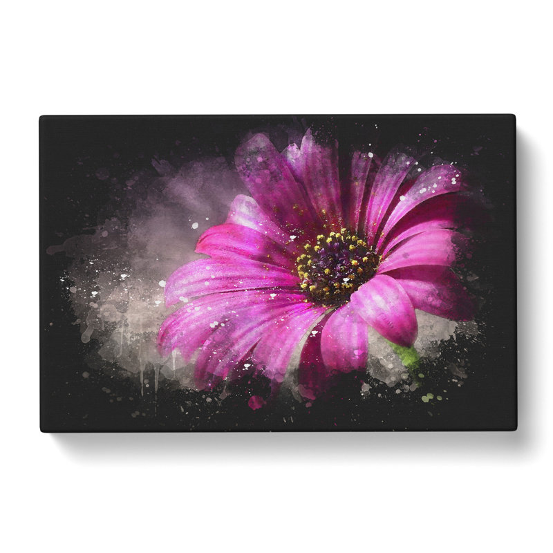 Purple Daisy - Wrapped Canvas Painting, 50cm H x 76cm W x 3cm D