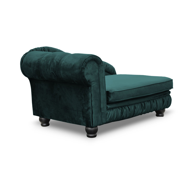 Alana Polyester Pet Bed, Green
