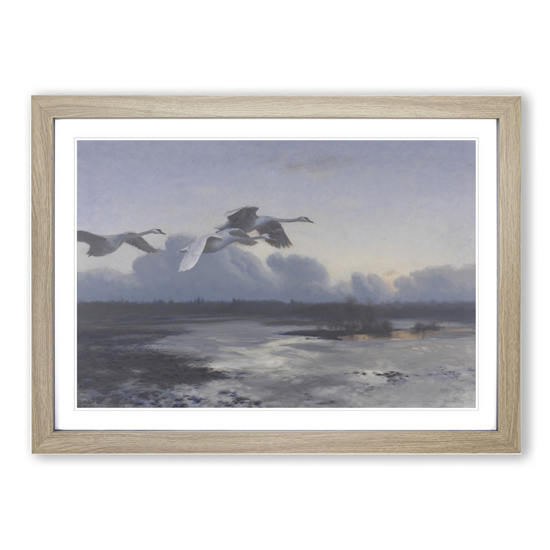 Swans in Flight Vol.1 by Bruno Liljefors - Picture Frame Painting, 36cm H x 48cm W x 2cm D, Oak Framed