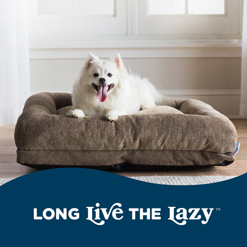 Petmate La-Z-Boy Rosie Lounger Large Dog Bed Taupe 36x28 Inches For Dogs up to 50lbs with Durable Removable High Quality Washable Cover