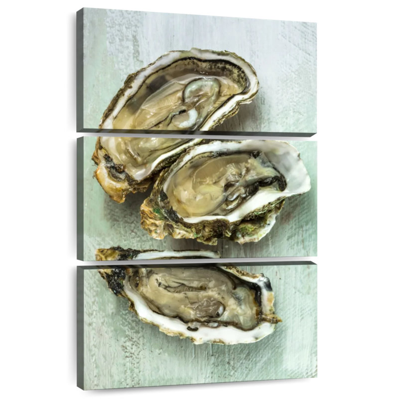 Brampt Oyster Shell, 57" H x 36" W