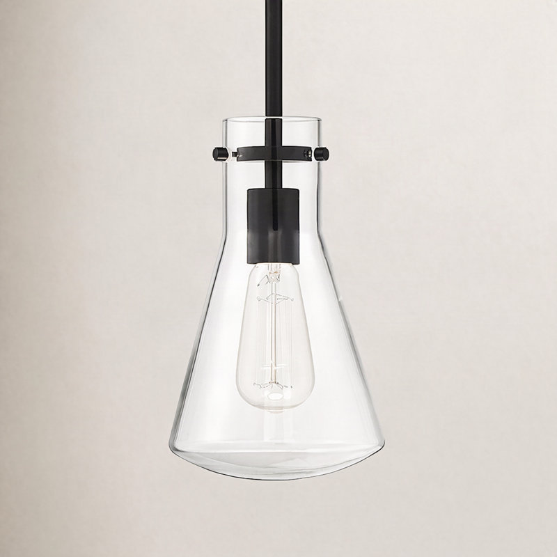 Luminaire suspendu conique à 1 lumière Renata, Noir