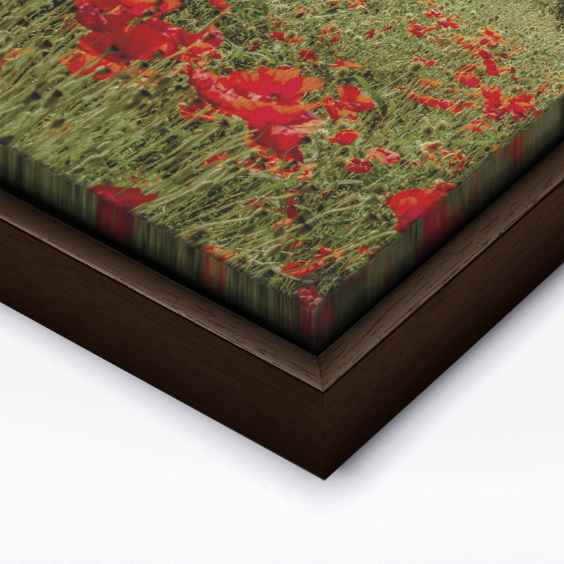 Fleur de coquelicot, Canvas, Brown Framed, 11"H x 14"W