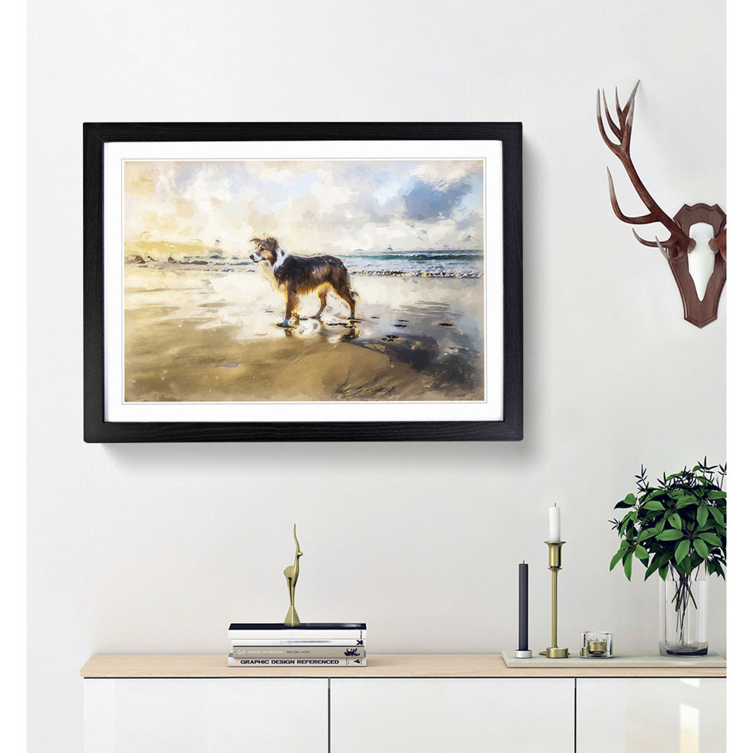 Border Collie Dog at the Beach in Abstract - Framed Print