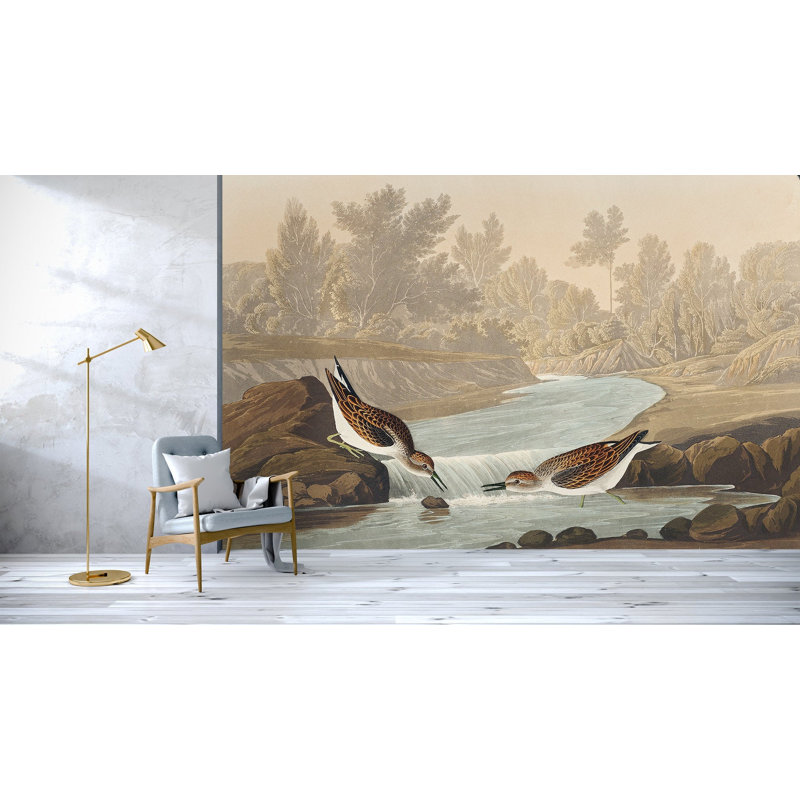 Papier peint amovible Sandpiper On River, L 35,04 po x l 55 po