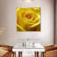 Rose jaune-1604811057