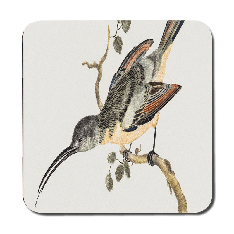 Bird On Branch Placemats And Coasters Set Vintage Illustration