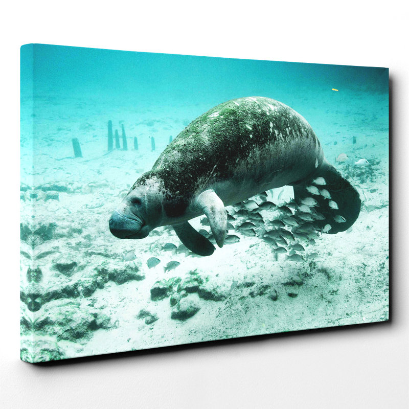 Wrapped Canvas Print, 50cm H x 76cm W