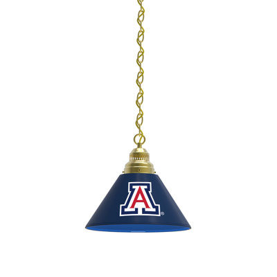 1 - Light Single Pendant