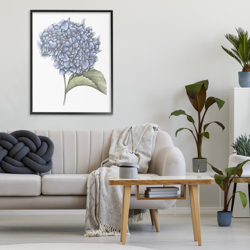 Hydrangée, croquis, giclée encadrée, conception par Cecilia Battaini, Giclée encadrée noir minuit, H 30 po x l 24 po
