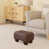 Chestnut Brown selected