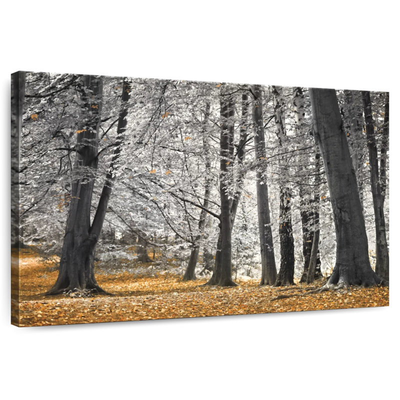 Harnek Autumn Trees And Leaves, 26" H x 39" W