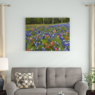 " Bluebonnet And Paintbrush Meadow Cedar Hill State Park Texas " by Tim Fitzharris
