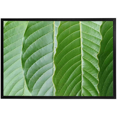 Khader Close Up Of Green Leaves - Single Picture Frame Print