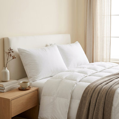 Oreiller en duvet de canard blanc moyen 600 l avec housse en coton biologique Tencel 300T - très grand