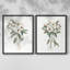 Impression encadrée Mountain Laurel I-Premium - prête à être accrochée - aucun clou requis - aucun clou requis-624468757-624468778