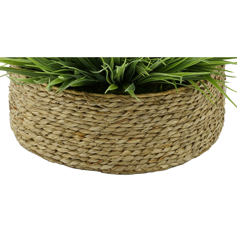 Faux Grass in Wicker/Rattan Basket, Froasted, Natural, 12" H x 18" W x 18" D