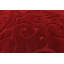 Tapis rouge sang Baynes-20250268-130905033