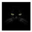 Art mural sur toile tendue - art mural «Black Cat Centered» par Lori Hutchison pour le salon, la chambre à coucher ou le bureau - 14 x 14-33537216