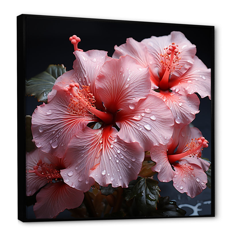 «Pink Hibiscus Graceful Curves Harmony» sur impression sur toile, Cadre flottant noir, H 24 po x l 24 po x P 1 po