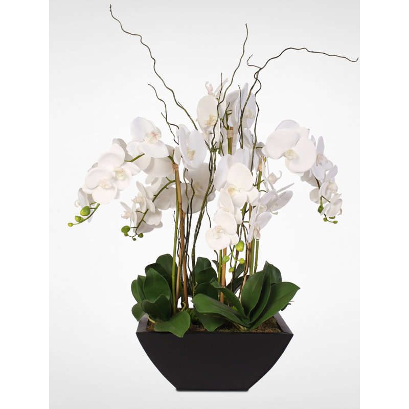 Real Touch White Phalaenopsis Orchids in a Black Metal Zinc Pot