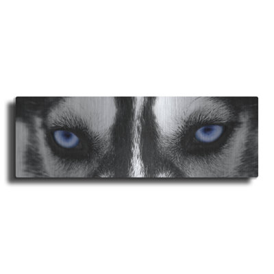 «Husky» par PhotoINC Studio
