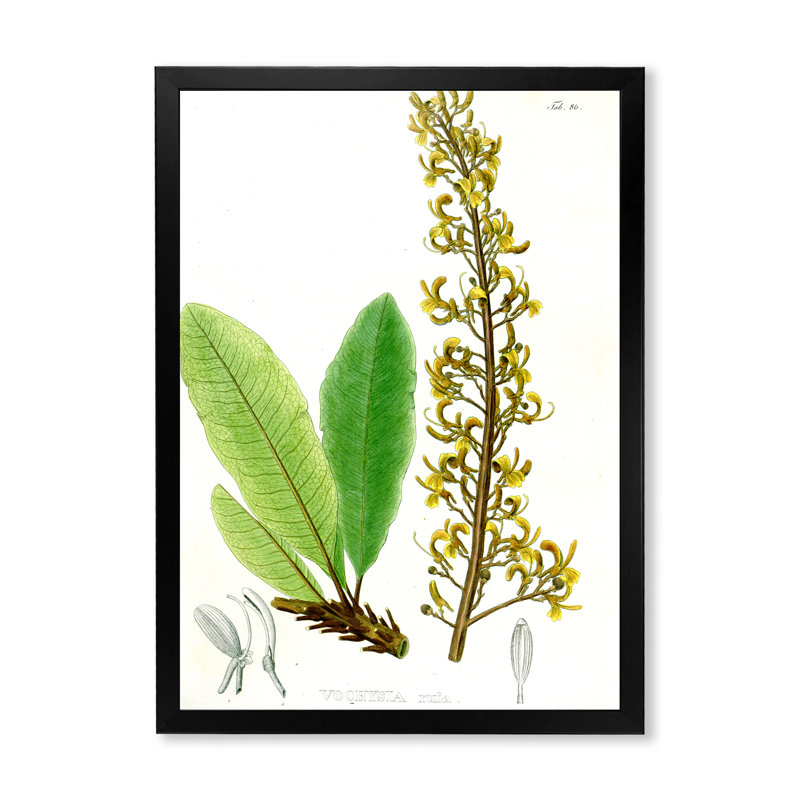 Plante brésilienne rétro IV - peinture sur toile, Cadre photo noir, H 32 po x l 24 po x P 1 po