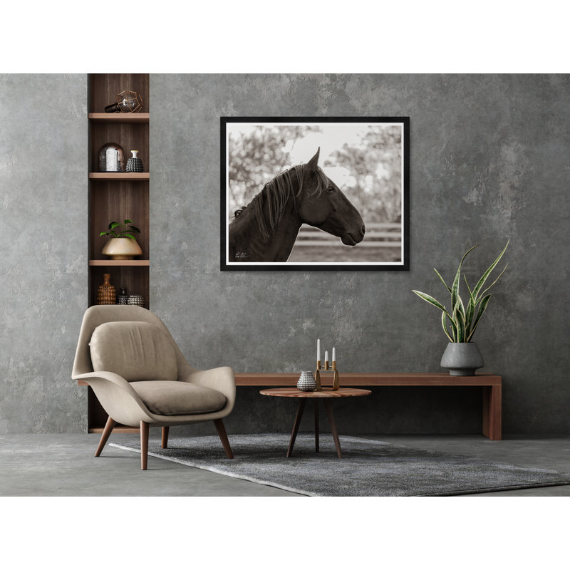 Horse Profile Framed Photographic Print