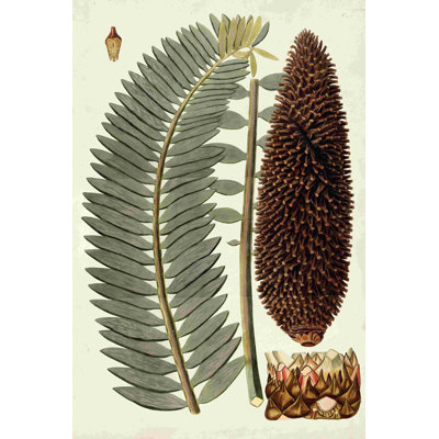 Feuille Variétés IV