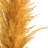 46" Dried Pampas Grass-1076599326