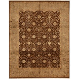 Chantel Oriental Area Rug in Brown/Green