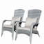 Chaise de patio avec coussins (coussin)-186842094