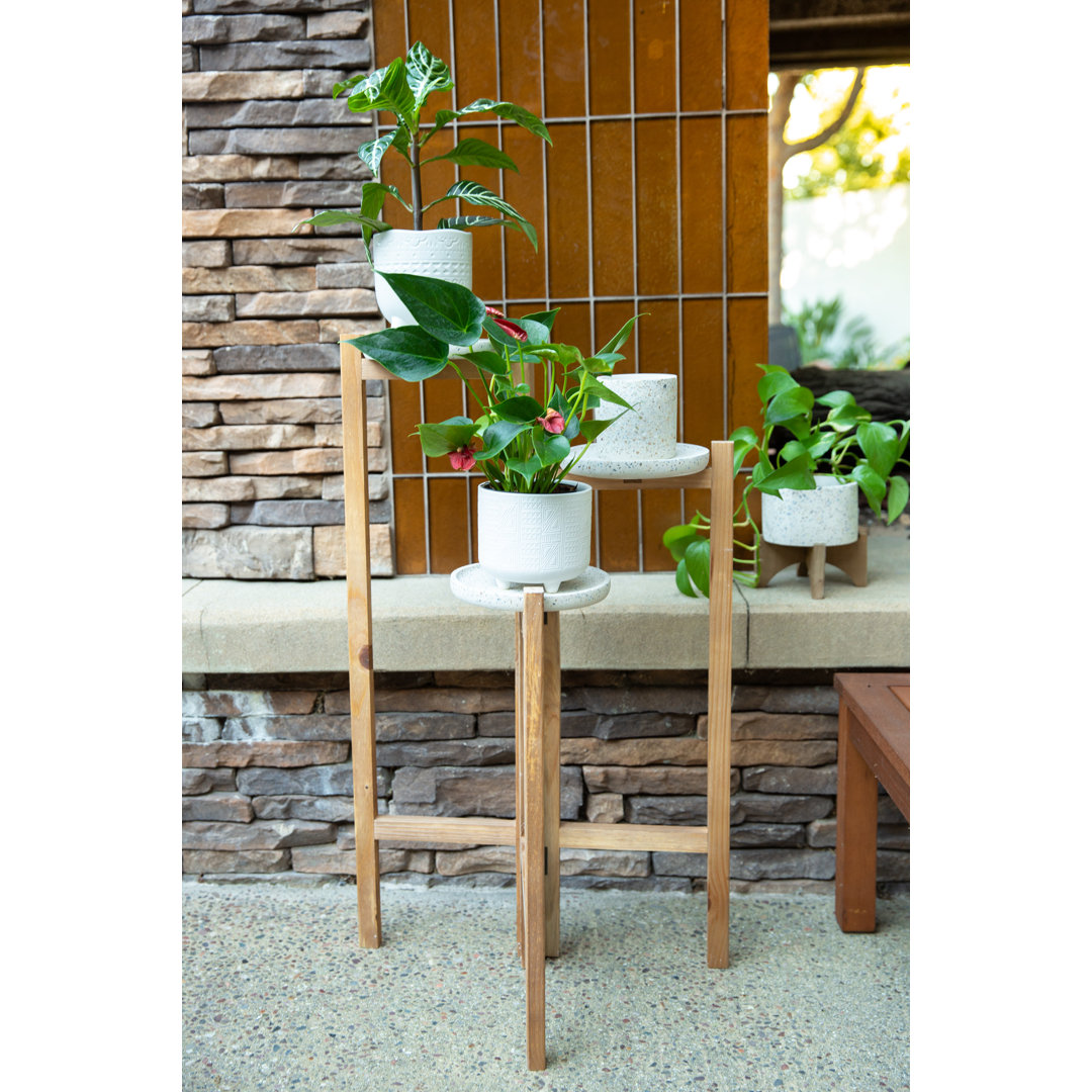 Arterburn Wood Plant Stand Beachcrest Home™