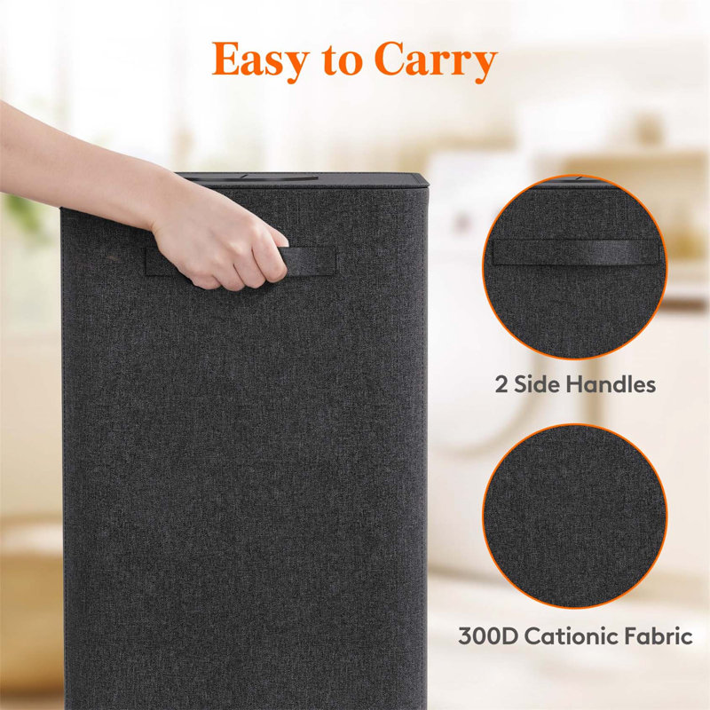 Bhargava Laundry Hamper with Handles, 67 x 40 x 30, Black