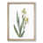 Oak Framed